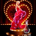 CanCan 98177ec2 e884 4949 9723 1dfea86d1484 2400x scaled 1