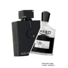 club de nuit intense man dupe creed aventus