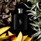 marcasralphlauren3360377032767 multicolor4jpeg 3