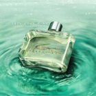 perfume lacoste essential para caballero g1 1 1024x