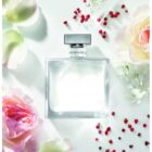 romance eau de parfum