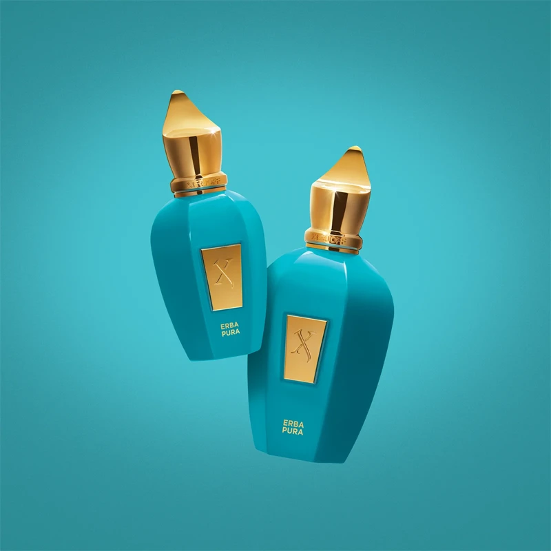 Perfumes Erba Pura EDP 100ml 50ml Xerjoff originales perfumes de nicho comprar en talca maule chile santiago